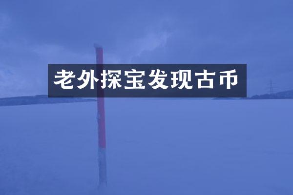 老外探宝发现古币