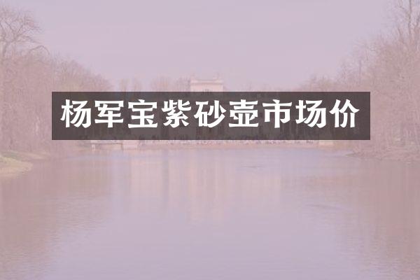 杨军宝紫砂壶市场价