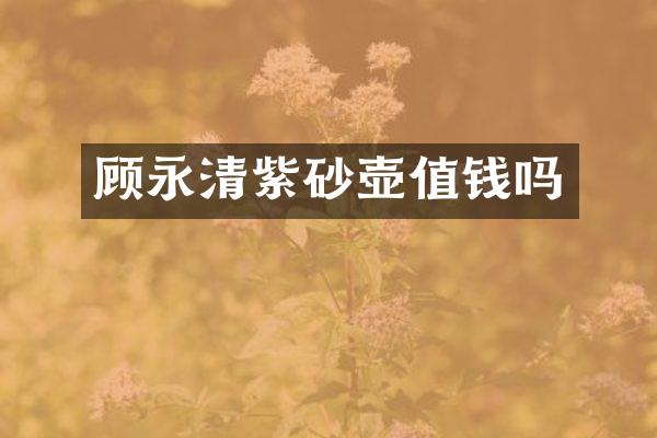 顾永清紫砂壶值钱吗