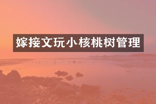 嫁接文玩小核桃树管理