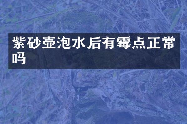 紫砂壶泡水后有霉点正常吗