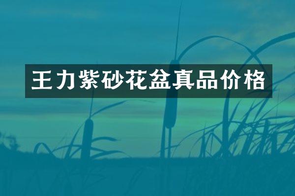 王力紫砂花盆真品价格