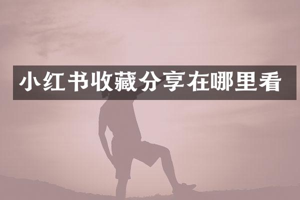 小红书收藏分享在哪里看