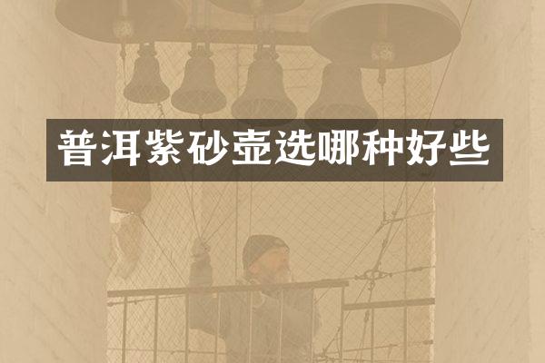 普洱紫砂壶选哪种好些