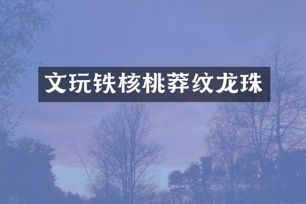 文玩铁核桃莽纹龙珠