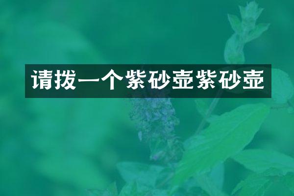 请拨一个紫砂壶紫砂壶