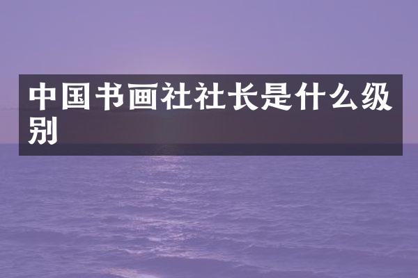 中国书画社社长是什么级别