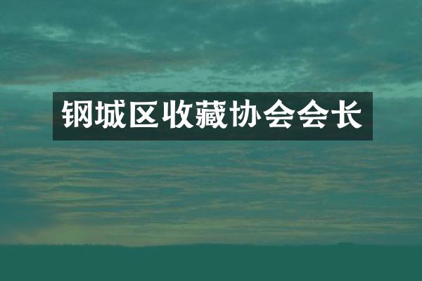 钢城区收藏协会会长