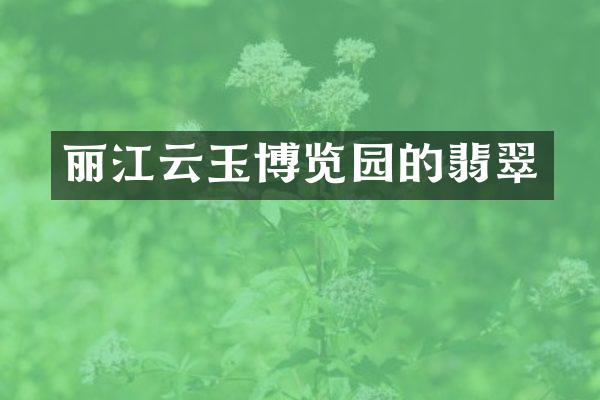 丽江云玉博览园的翡翠