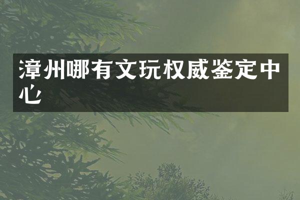 漳州哪有文玩权威鉴定中心