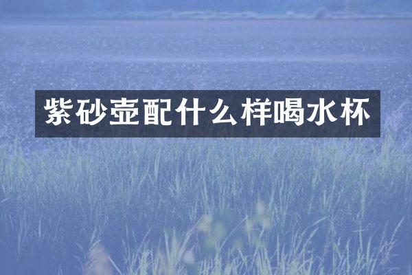 紫砂壶样喝水杯