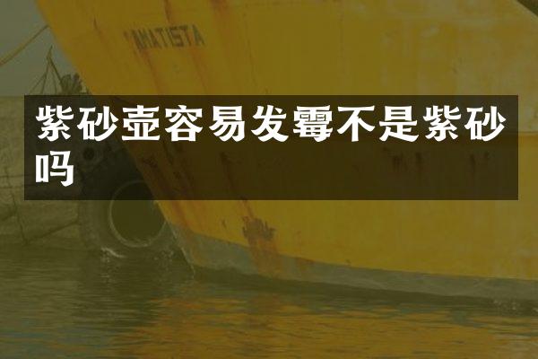 紫砂壶容易发霉不是紫砂吗