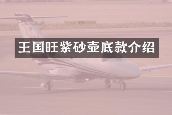 王国旺紫砂壶底款介绍