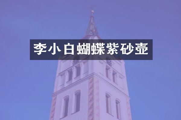 李小白蝴蝶紫砂壶