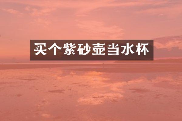 买个紫砂壶当水杯