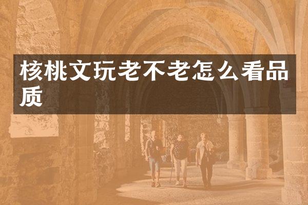 核桃文玩老不老怎么看品质