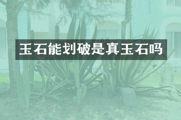玉石能划破是真玉石吗