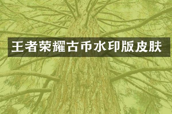 王者荣耀古币水印版皮肤