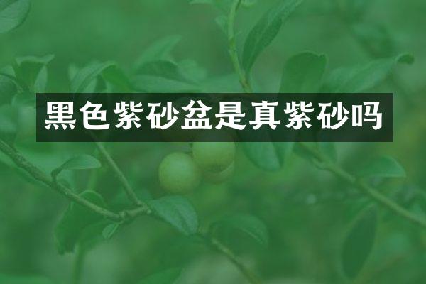 黑色紫砂盆是真紫砂吗