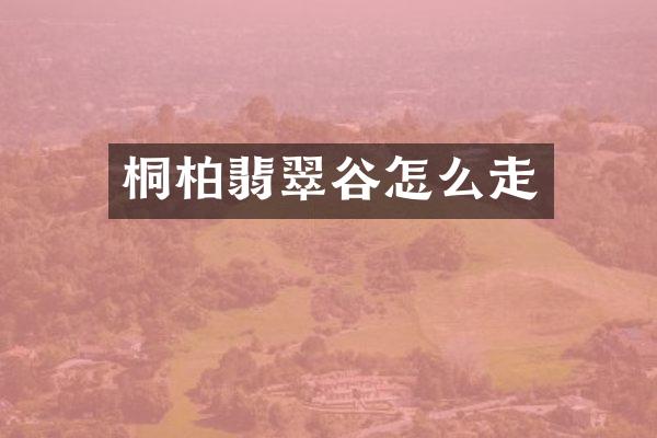 桐柏翡翠谷怎么走