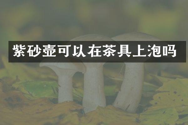 紫砂壶可以在茶具上泡吗