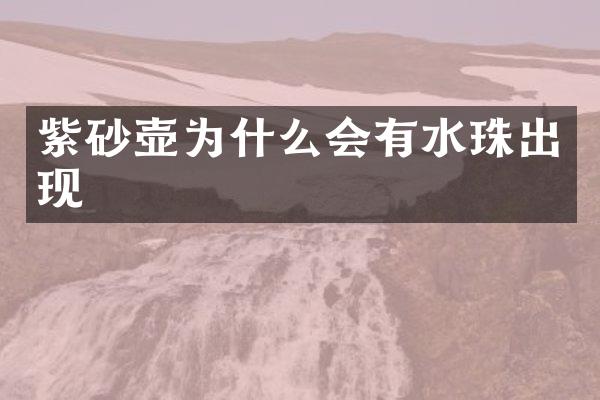 紫砂壶为什么会有水珠出现