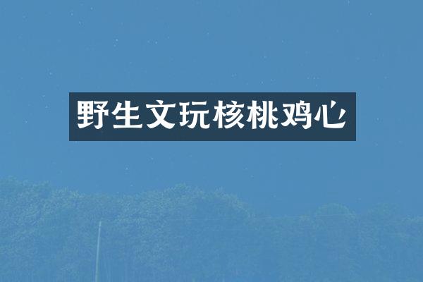 野生文玩核桃鸡心