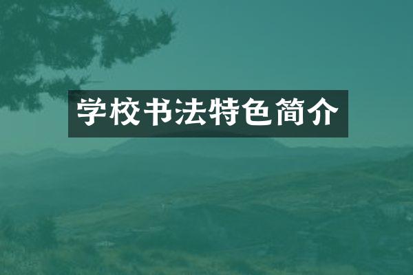 学校书法特色简介