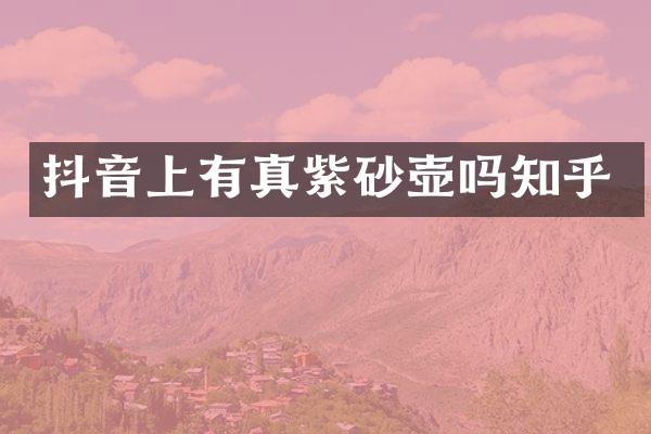 抖音上有真紫砂壶吗知乎