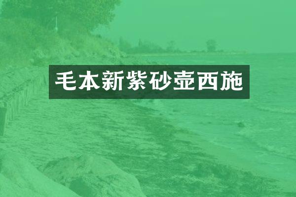 毛本新紫砂壶西施