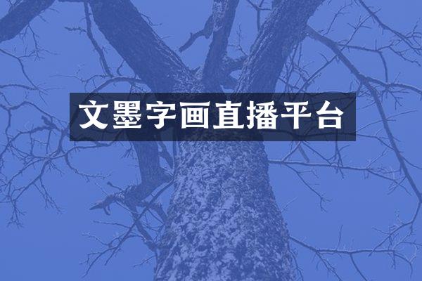 文墨字画直播平台