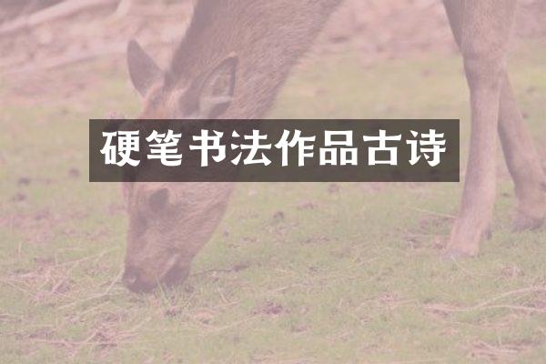 硬笔书法作品古诗