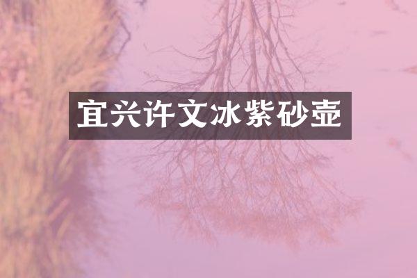 宜兴许文冰紫砂壶