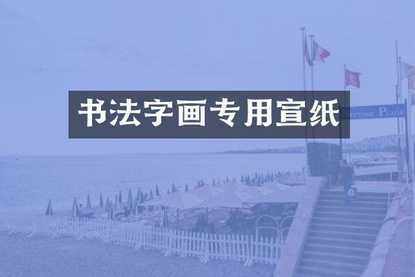 书法字画专用宣纸