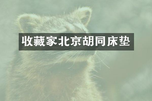 收藏家北京胡同床垫