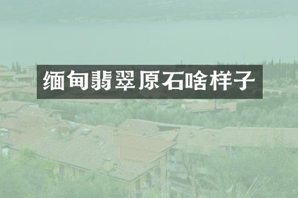 缅甸翡翠原石啥样子