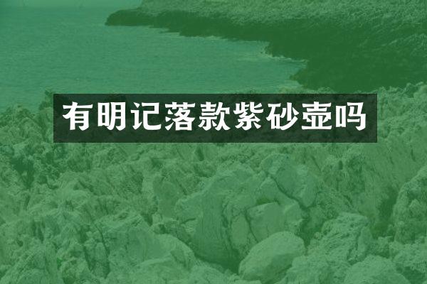 有明记落款紫砂壶吗
