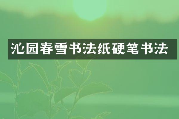 沁园春雪书法纸硬笔书法