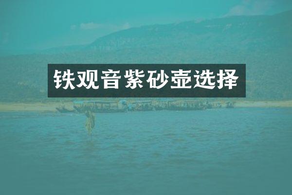 铁观音紫砂壶选择