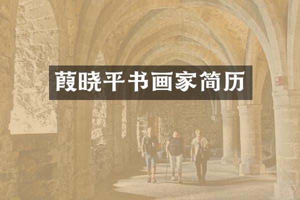 葭晓平书画家简历