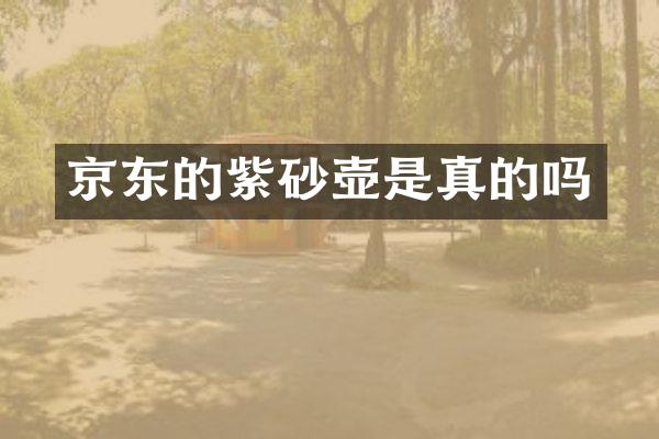 京东的紫砂壶是真的吗