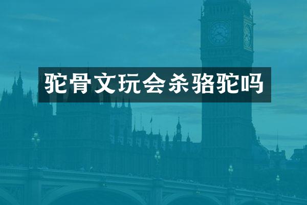 驼骨文玩会杀骆驼吗