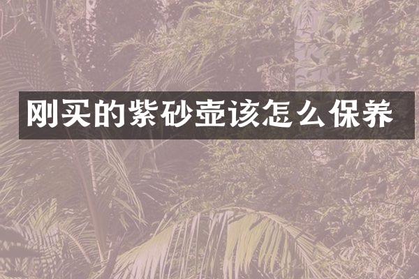 刚买的紫砂壶该怎么保养