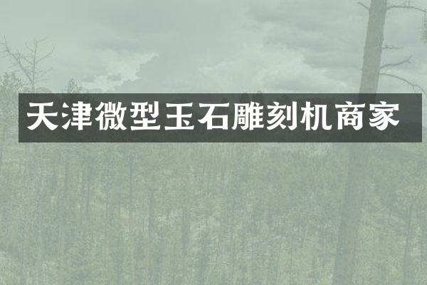 天津微型玉石雕刻机商家