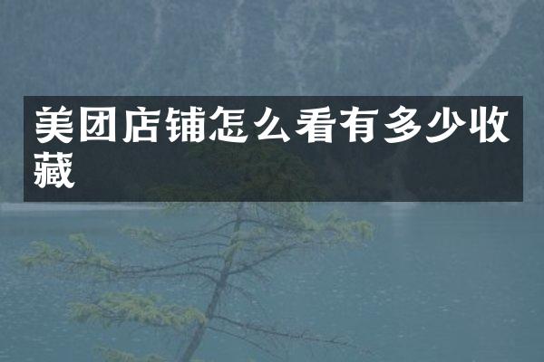 美团店铺怎么看有多少收藏