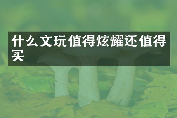 什么文玩值得炫耀还值得买