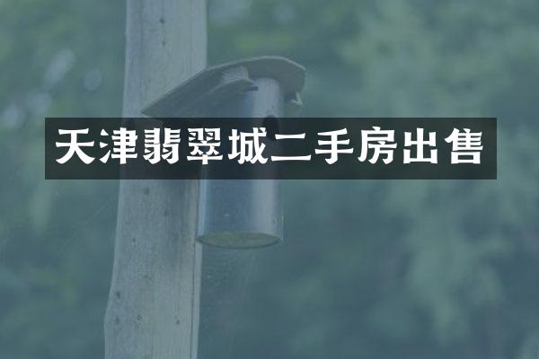 天津翡翠城二手房出售