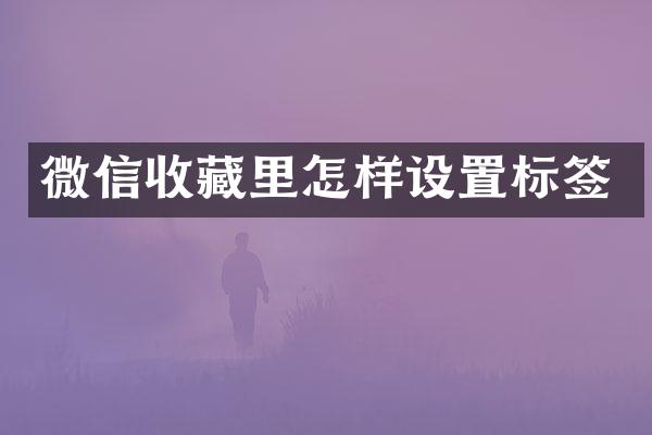 微信收藏里怎样设置标签