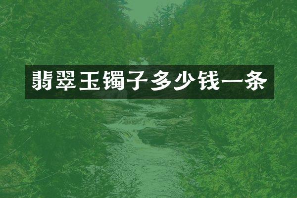 翡翠玉镯子多少钱一条