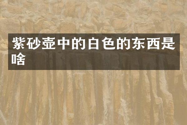 紫砂壶中的白色的东西是啥